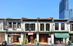 Tanjong Pagar Conservation Area (D2), Shop House #483101761